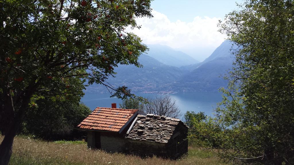 Lake Como View Apartement Allegro Acquaseria Cameră foto
